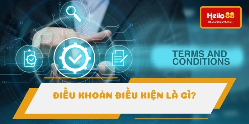 Điều khoản quy định cần rõ khi cá cược online