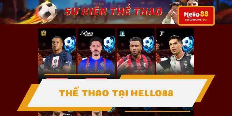 Thể Thao chất lượng cao được bet thủ yêu thích Thể Thao chất lượng cao được bet thủ yêu thích