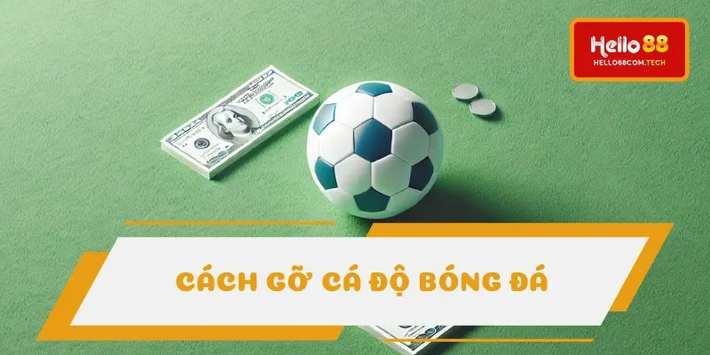 Cách gỡ cá độ bóng đá