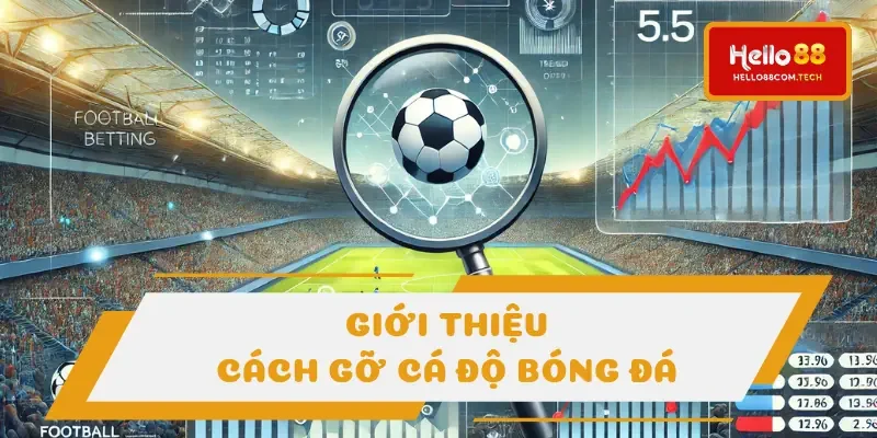 Cách gỡ cá độ bóng đá đòi hỏi nhiều yếu tố