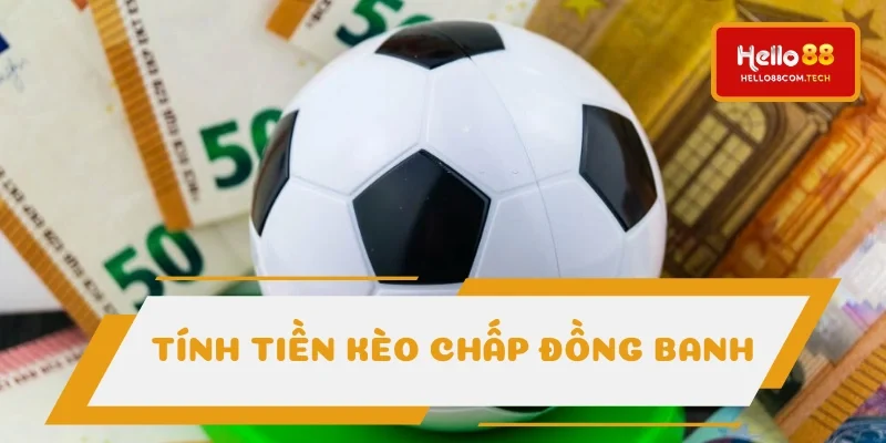 Tính toán lời/ lỗ HDP (0) rất đơn giản