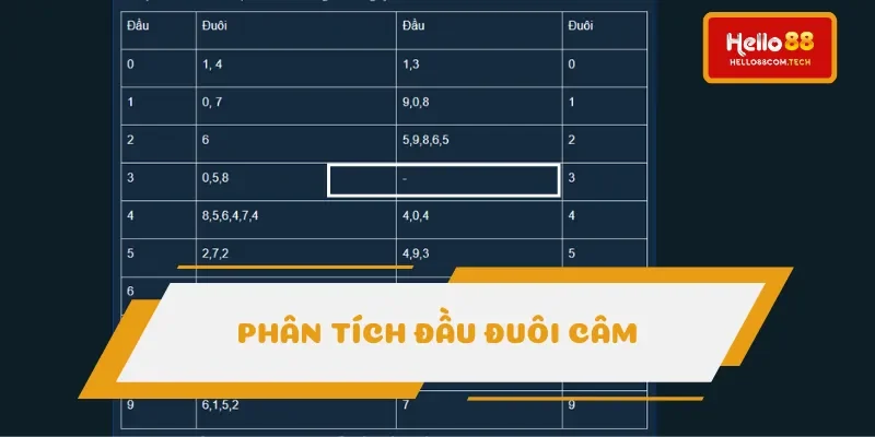 Phân tích dựa vào đầu đuôi câm